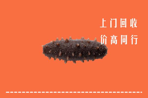 高价求购：襄阳保康县回收海参