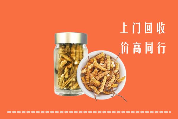 收购行情：襄阳保康县回收冬虫夏草