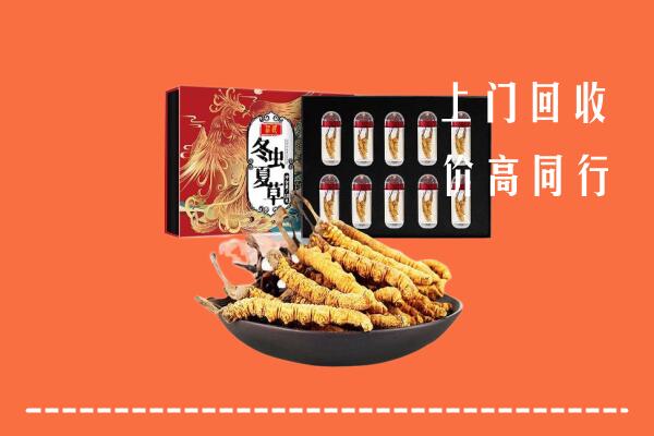 襄阳保康县回收虫草